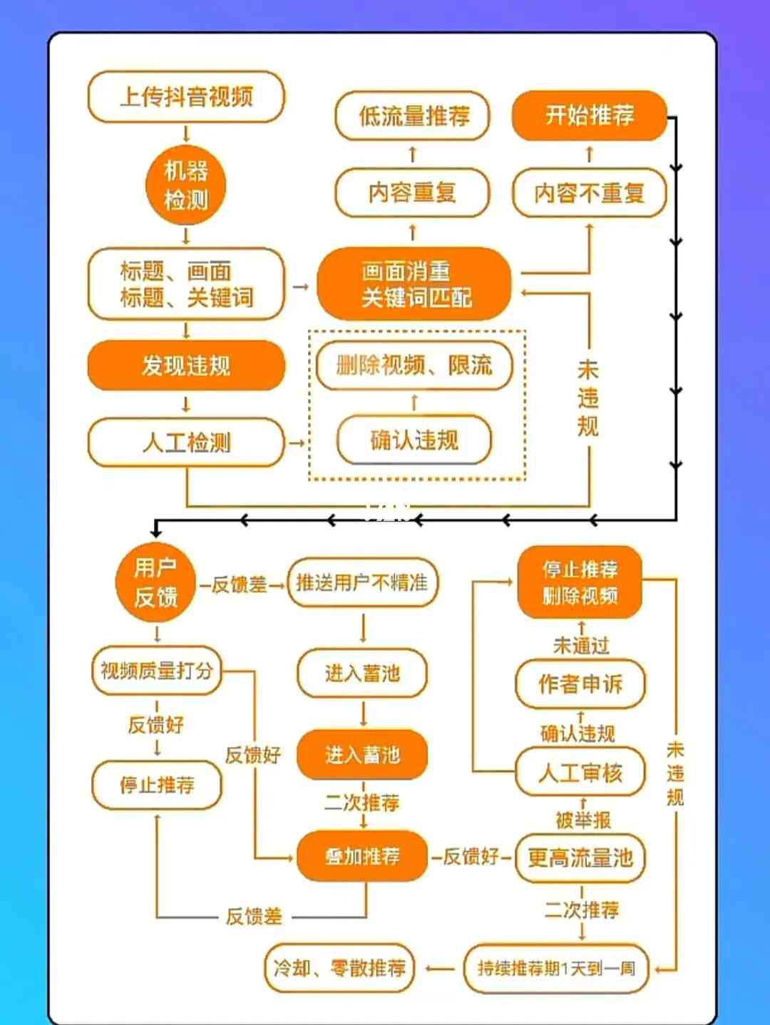 抖音剧情创作者认证全攻略：从申请流程到内容规范，一步掌握完整认证指南