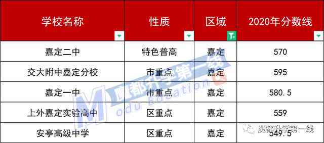 关于养松鼠的知识：全面资料与要点汇总