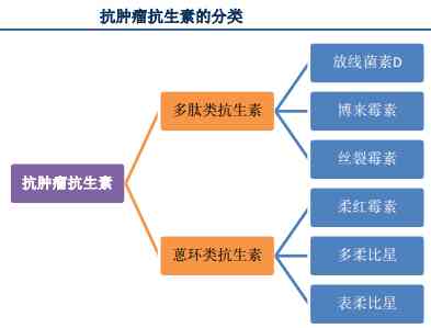 全方位解析：影像AI诊断产品如何在医疗领域提升精准度和效率