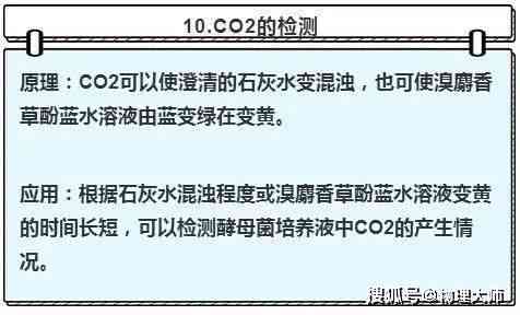 贪吃蛇实验目的：探究原理、总结报告及其实际意义