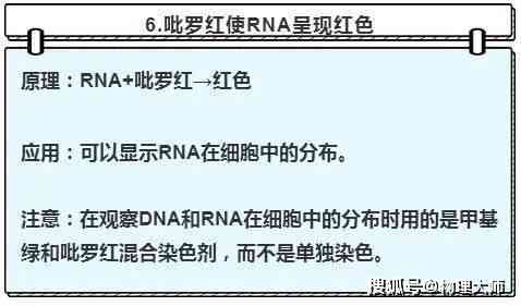 贪吃蛇实验目的：探究原理、总结报告及其实际意义