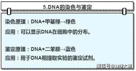 贪吃蛇实验目的：探究原理、总结报告及其实际意义