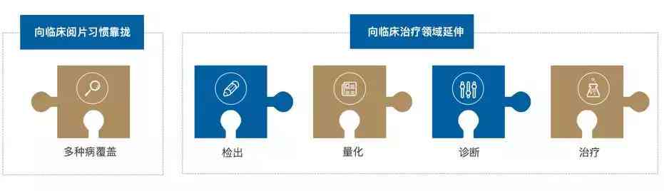 AI辅助透视工具脚本与使用攻略