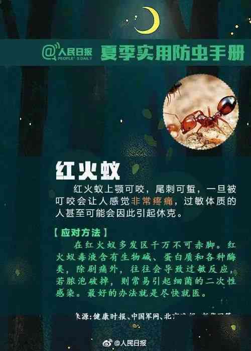 全方位指南：新闻评论写作技巧与实践教程