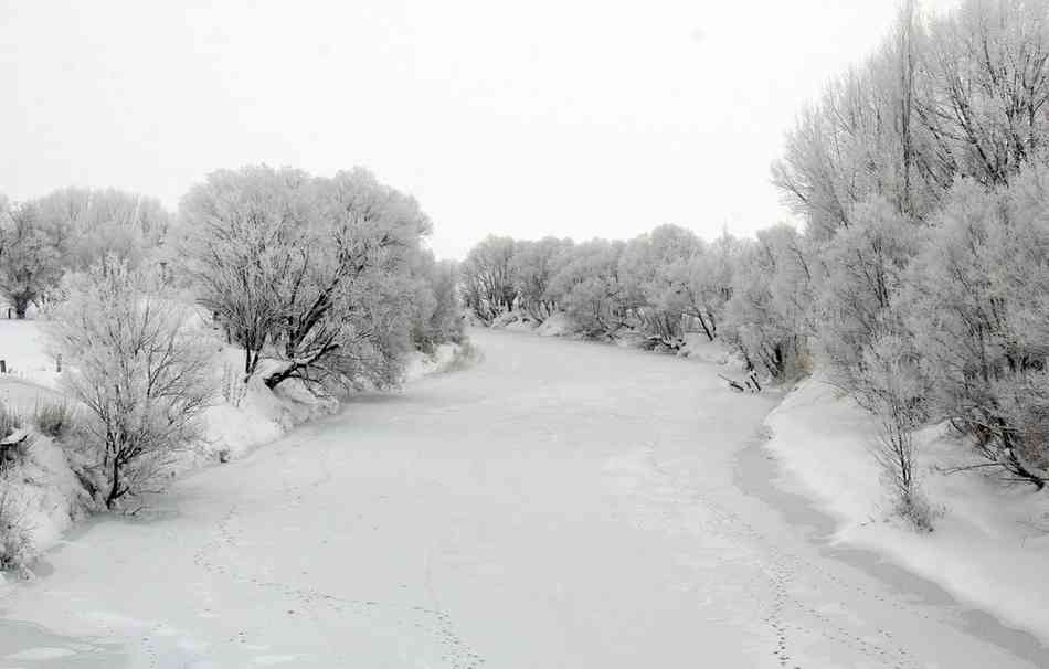 冬日飘雪，唯美高清雪景壁纸，尽享银装素裹之美