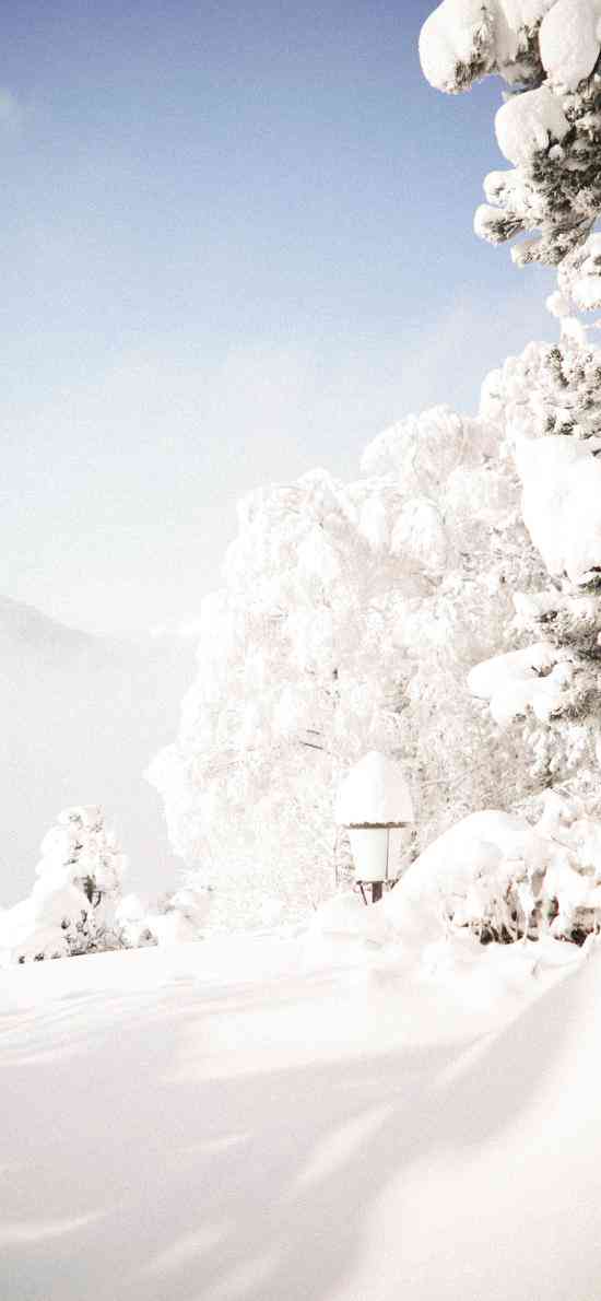 冬日飘雪，唯美高清雪景壁纸，尽享银装素裹之美