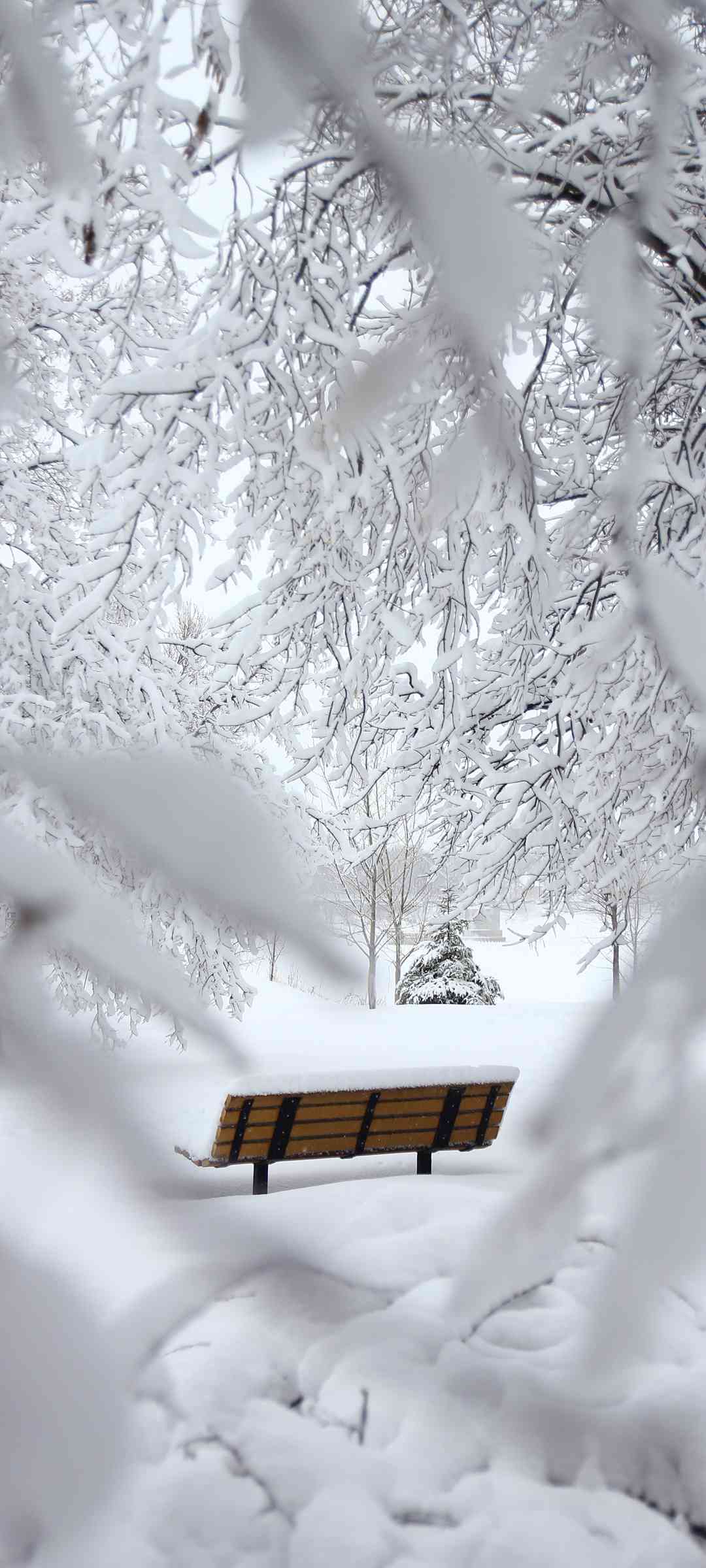 雪景壁纸手机壁纸 高清超清手机壁纸