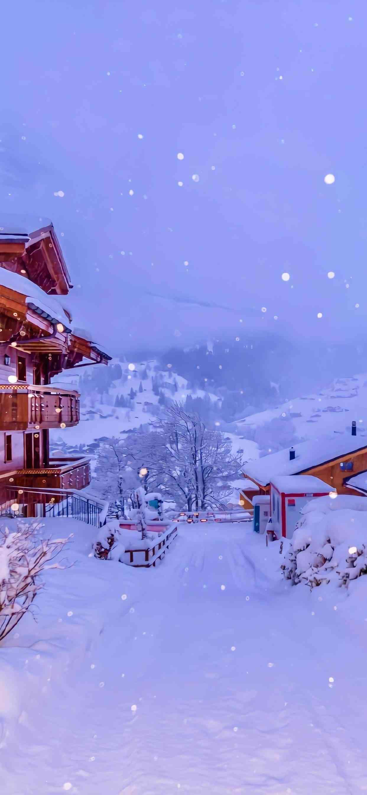 冬日雪韵高清手机壁纸，雪景沉浸式体验