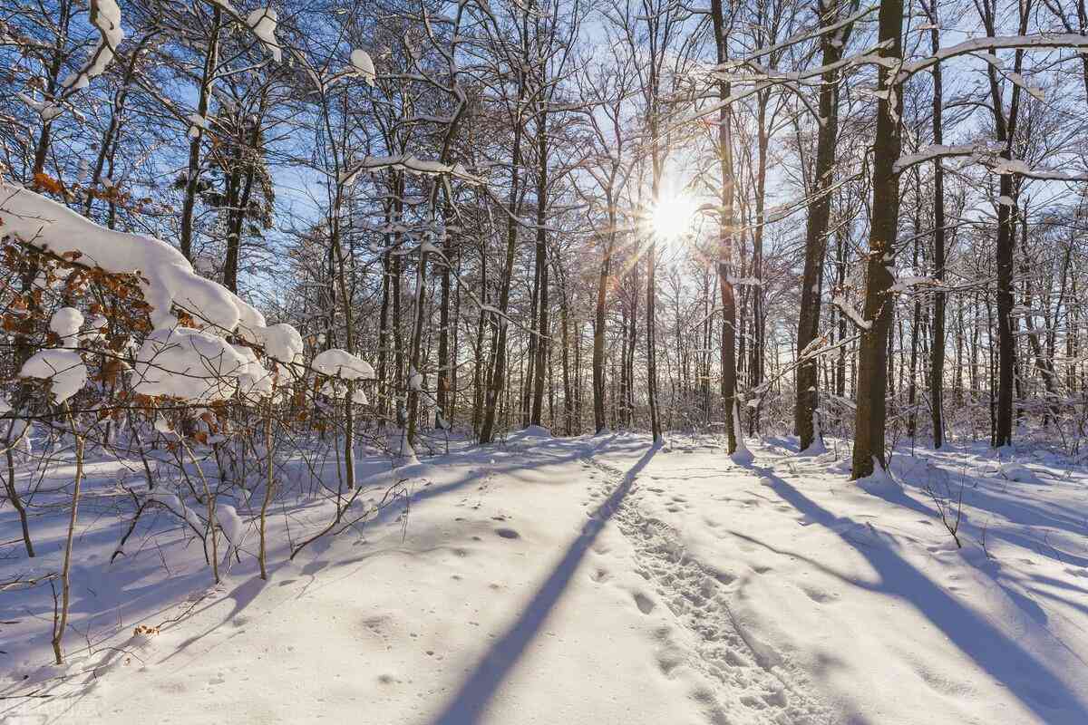 精选4K雪景壁纸     ：高清冬日风景，适配多种设备，一键