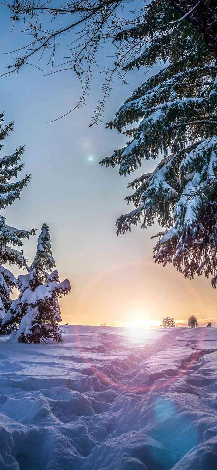 精选4K雪景壁纸     ：高清冬日风景，适配多种设备，一键