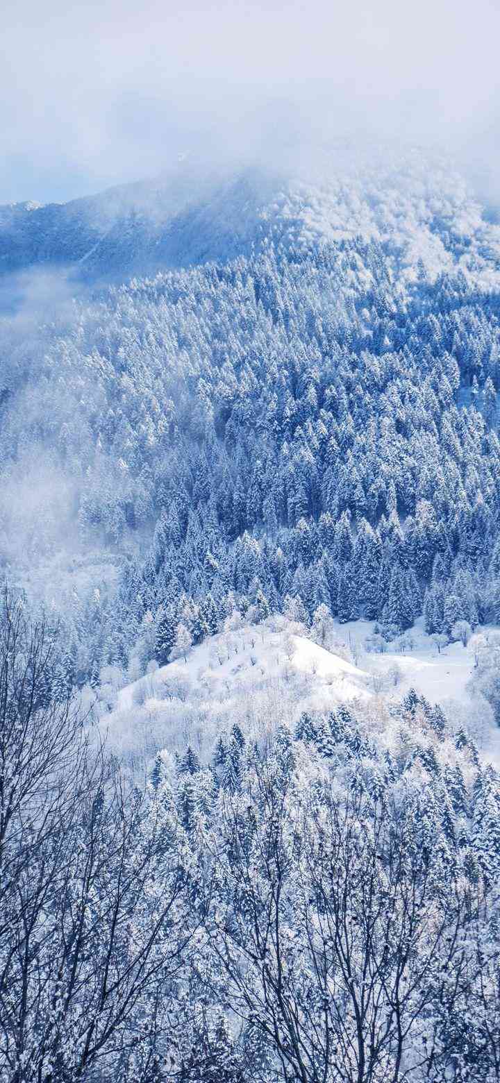 雪景壁纸高清全屏无水印超清唯美大全