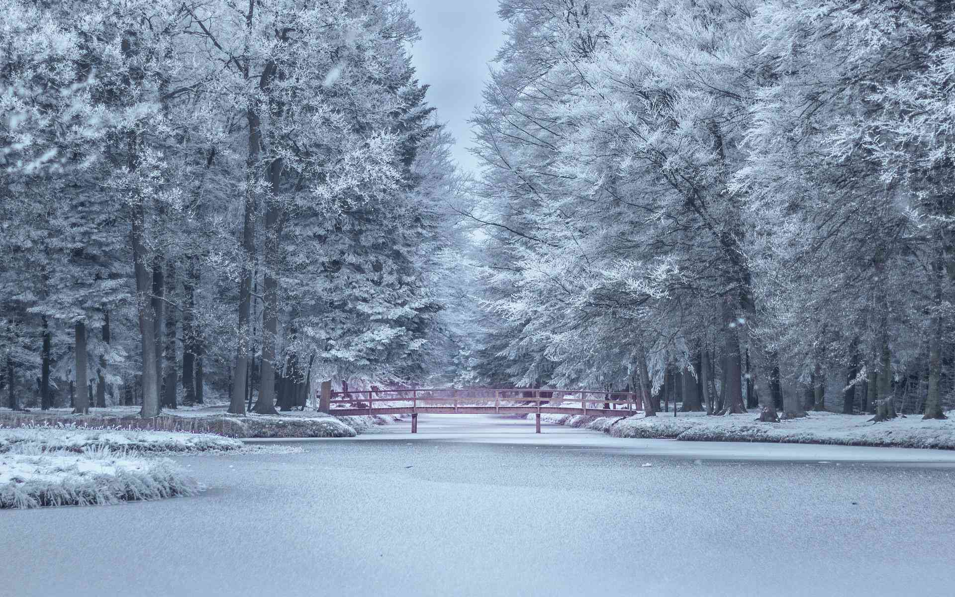 雪景壁纸高清全屏无水印超清唯美大全