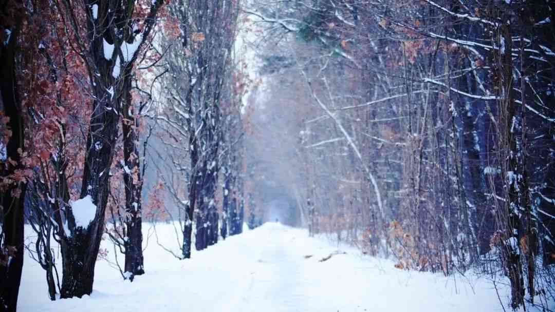 ai雪景壁纸文案中国风