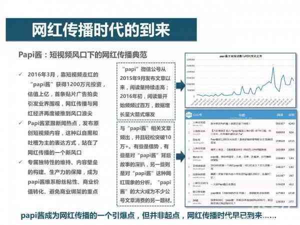 全面解读的研究：综合报告与深度分析