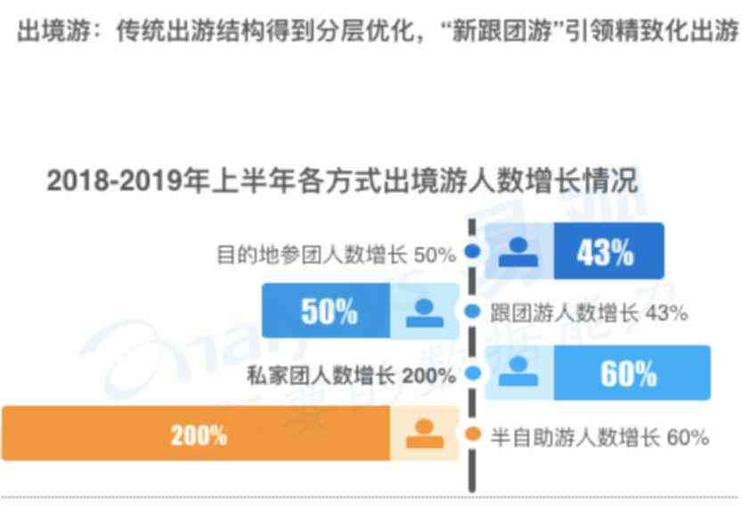 全面解读的研究：综合报告与深度分析