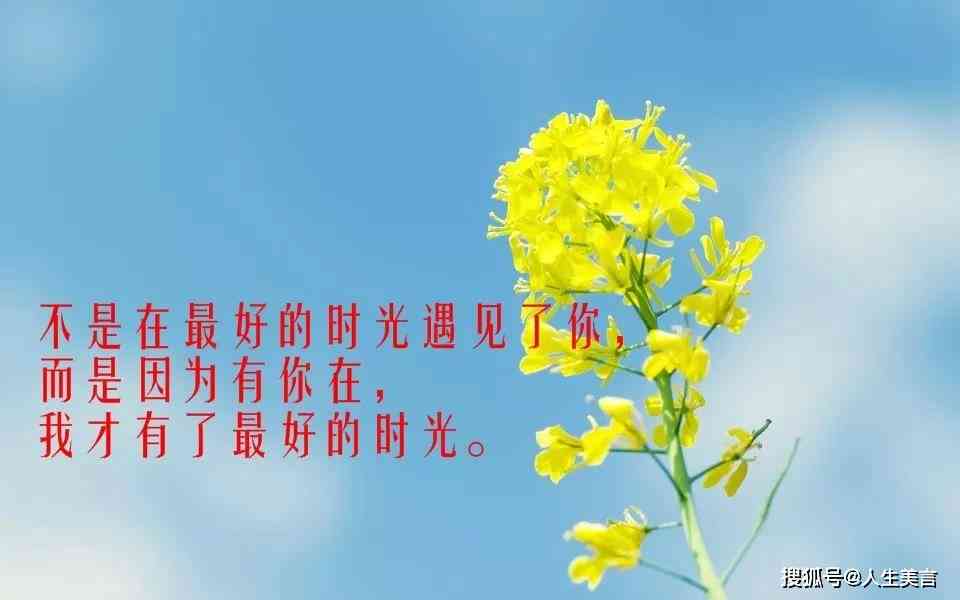 唯美句子汇总：表达疲惫的唯美短句与心情说说