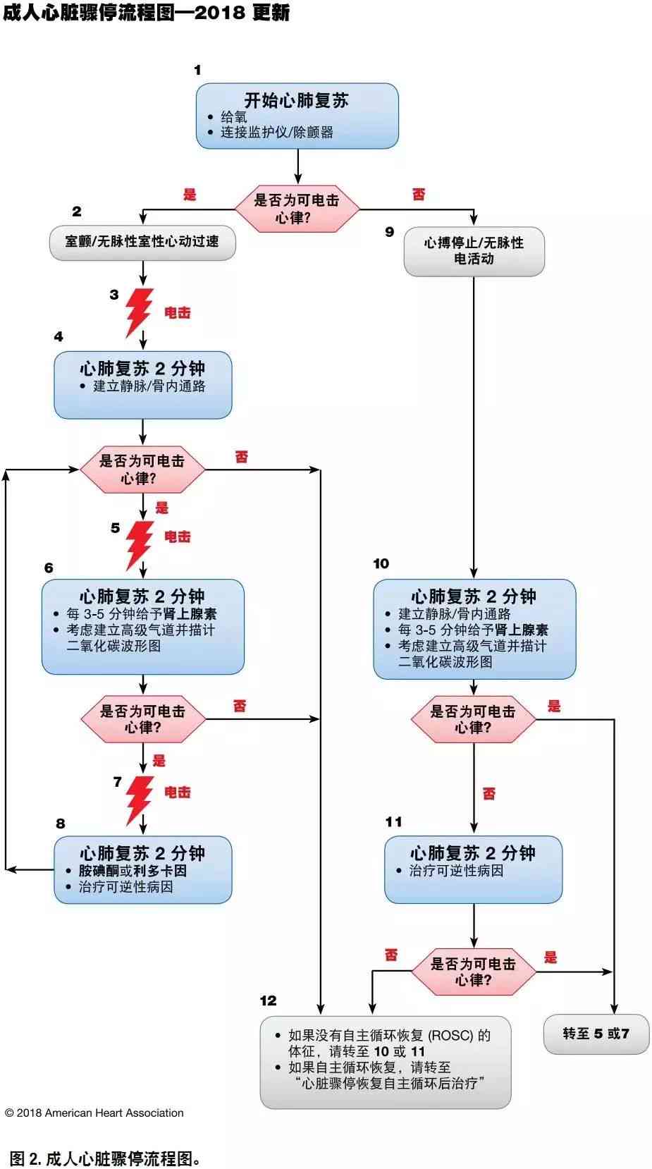 成都AHA急救培训：全面掌握心肺复与基础生命支持课程