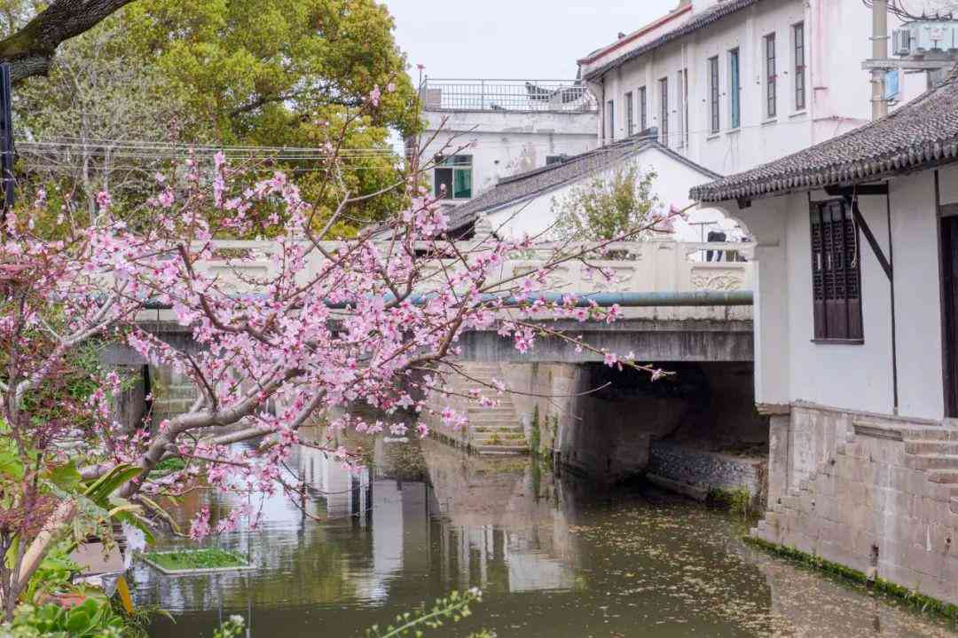 新场古镇产品定位：特色风貌、LOGO设计、建筑风格、主题区域及历文化概述