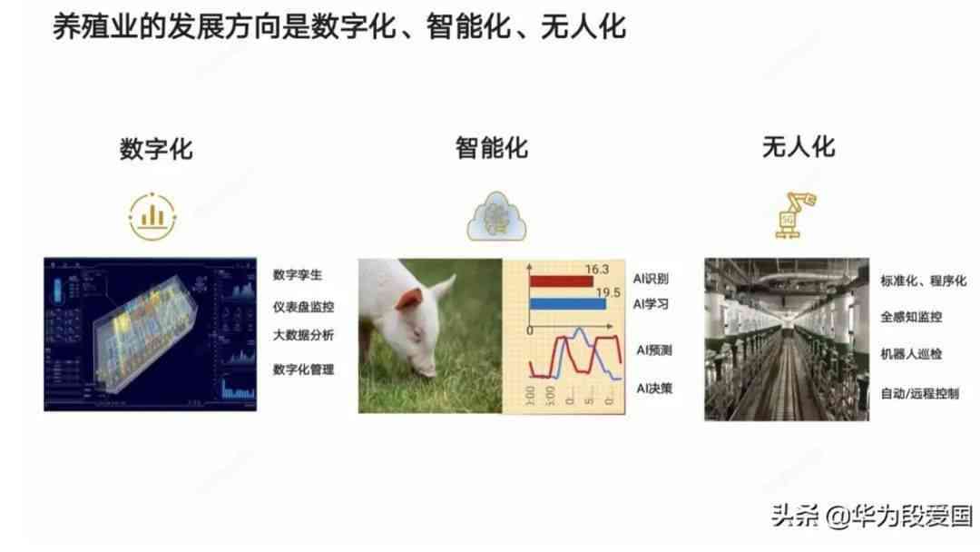 智能养猪：猪场AI技术应用效果评估报告