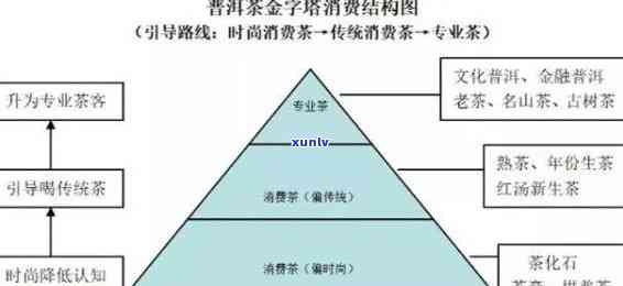 全方位指南：如何撰写高效营销方案及实战案例分析