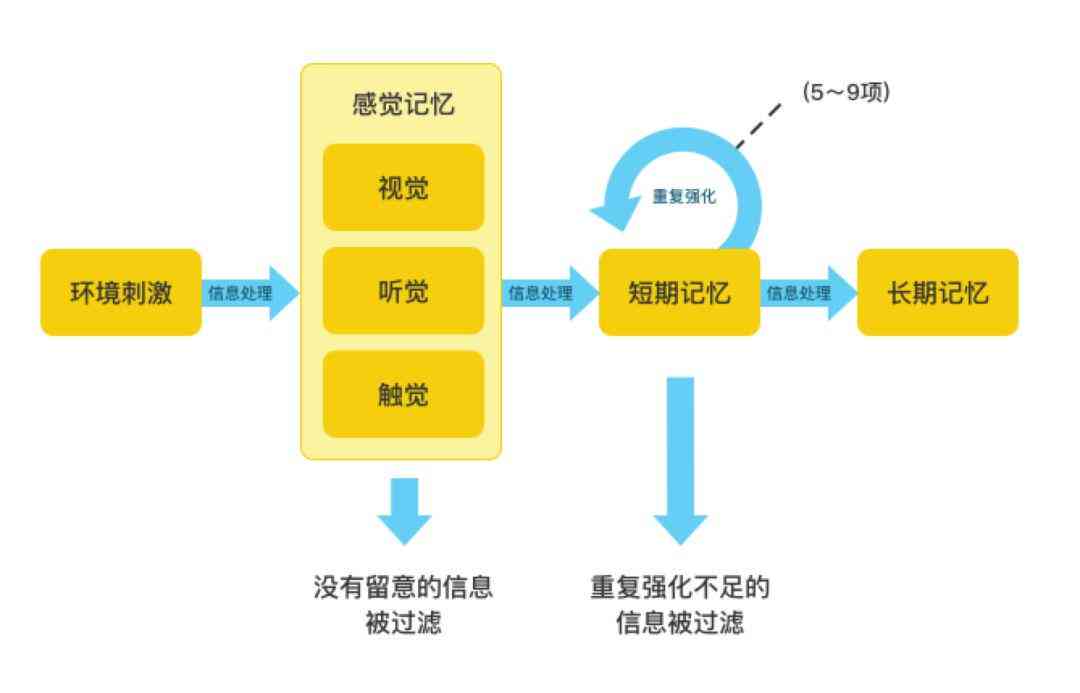 ai写作媒体大脑：定义、功能及位置解析