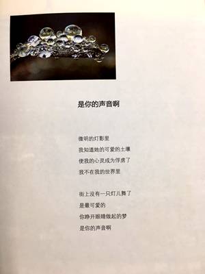 AI小冰与人类诗人创作：人工智能诗集与人类诗集的跨界比较