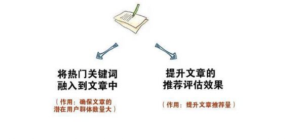 全面攻略：钉钉写作文的实用技巧与高效步骤，轻松提升文章质量