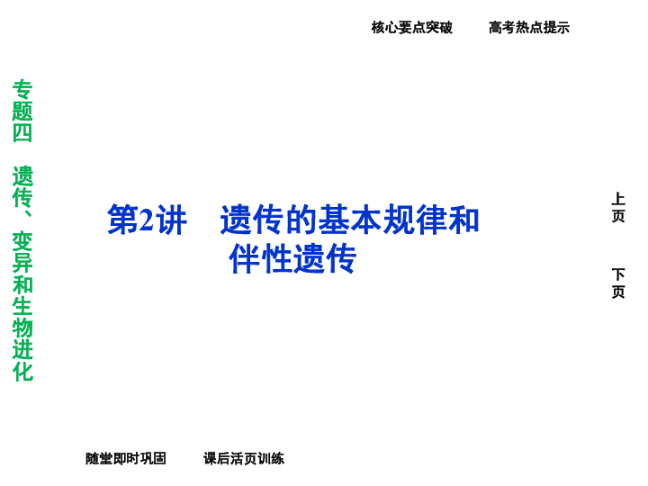 突破编程局限：遗传算法驱动的AI自主编程新篇章