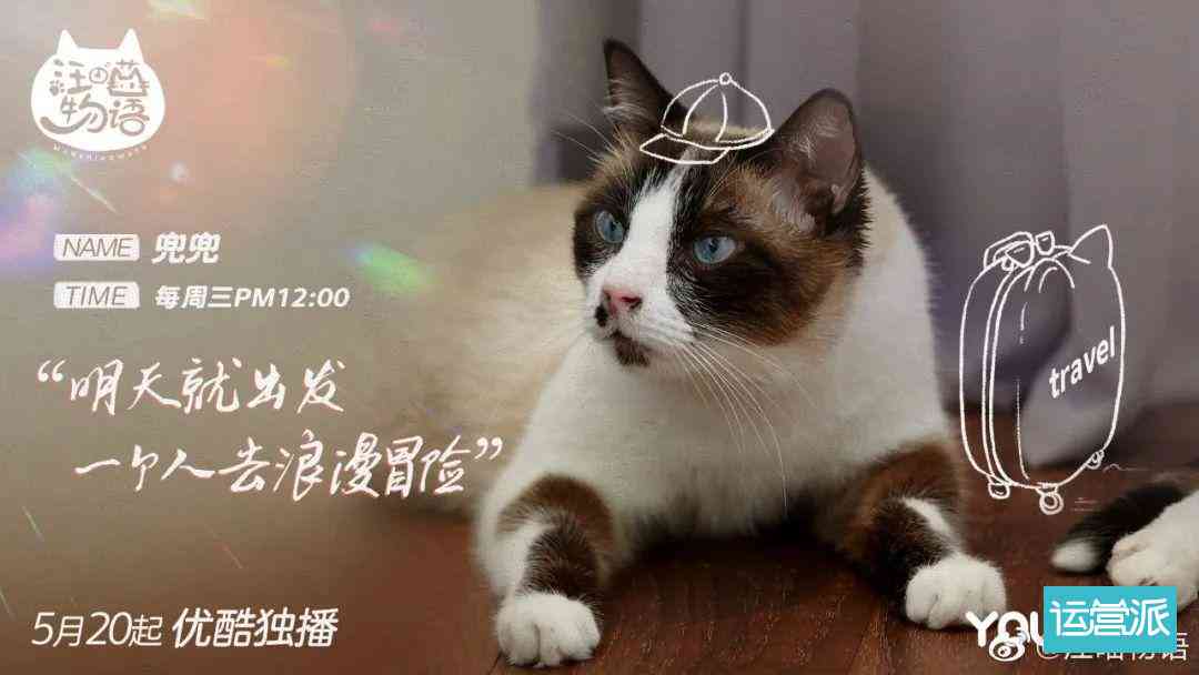 猫ai变身文案