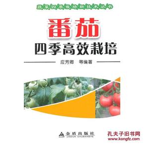 高效番茄作业法：专注力提升学新策略