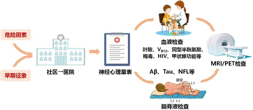 AID检查详解：深入了解其含义与作用