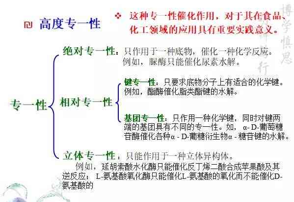 深入解析口播文案的含义与作用：全面解答口播文案的定义、特点及创作技巧