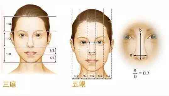 抖音如何制作完美脸型对比教程：全面解析不同脸型变换与美化技巧