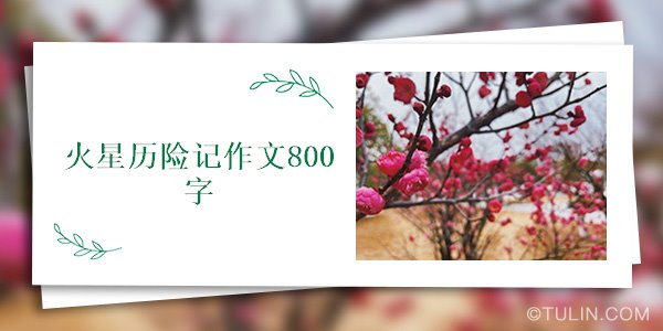 火星作文网官网：800字作文大全