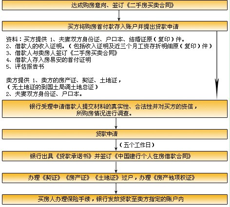 小豆小V：全方位解析与实用指南，解决你的所有疑问与需求