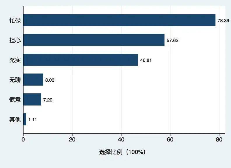 AI面试完整报告查看指南：面试反馈、评分详情及常见问题解答