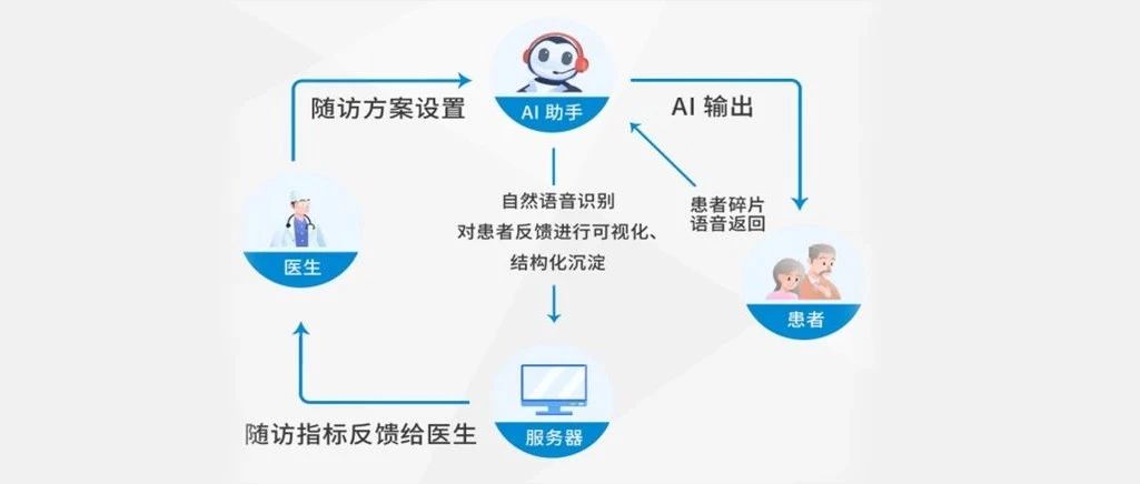 湖北ai慢病随访报告模板