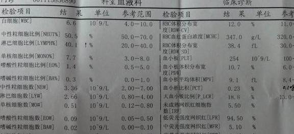 AI智能解读全血常规报告指南：全面解析常见问题与异常指标