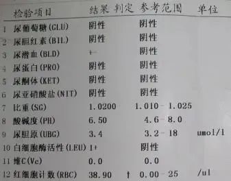 全面解析血液检测报告：深入解读各项指标含义与异常情况