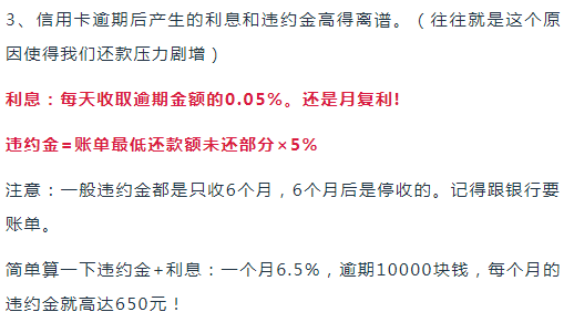 全面指南：如何撰写详尽的贷款调查报告及关键要素解析