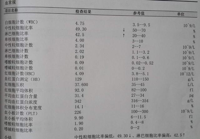 血常规报告分析报告：如何解读检验单及具体分析内容