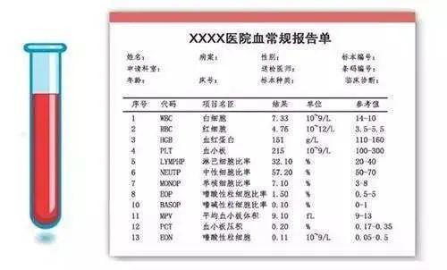 血常规报告分析报告：如何解读检验单及具体分析内容