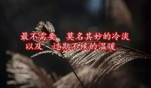 我们命途坎坷：人生中的命运多舛文案句子精选