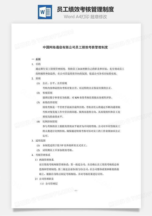 综合发展规划评估与效能分析：全面解读项目实成效与优化策略