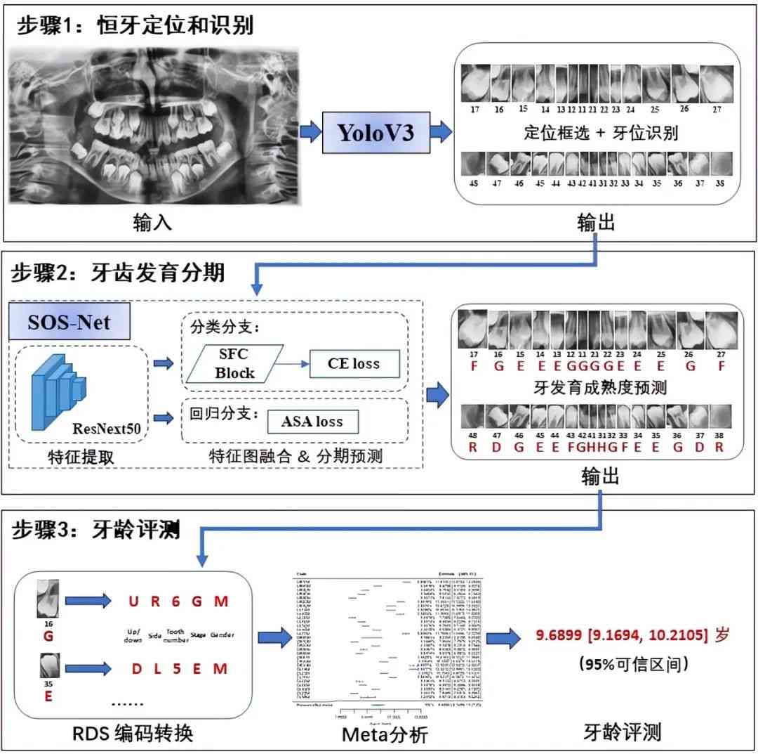 ai牙齿矫正分析报告模板怎么写：完整撰写指南与示例