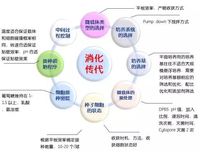 深入解析AI语音合成技术：朗读原理与实践应用全方位解读