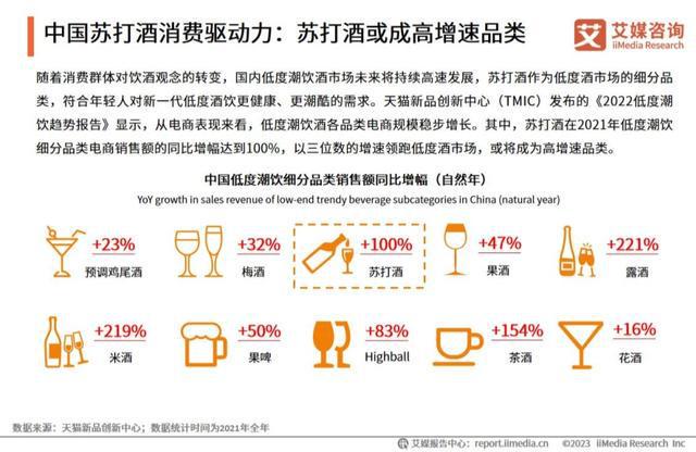 瑞咨询：中国产业年中研究报告——2023年洞察与发展趋势分析