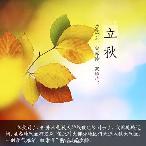 金秋将至，立秋企业启丰收时节传典