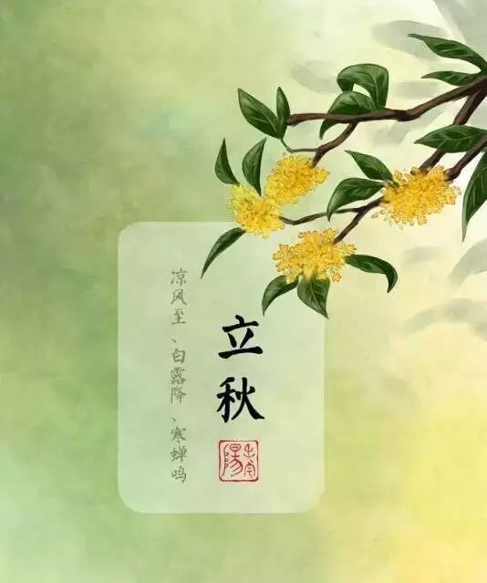 金秋将至，立秋企业启丰收时节传典