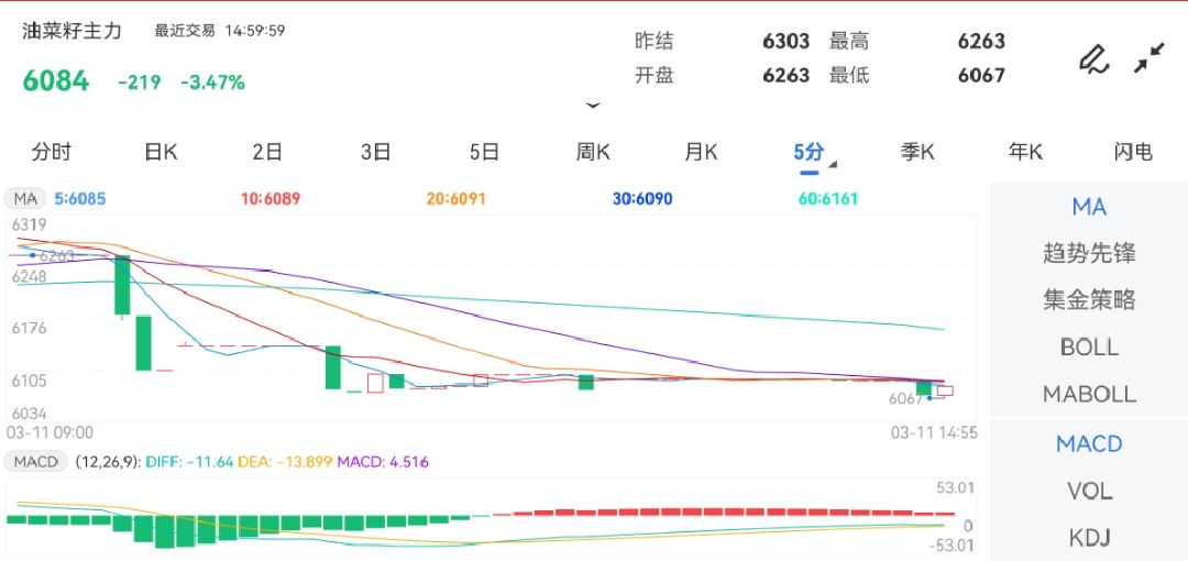 数据n期货数据api：加拿大ICE油菜籽期货成交持仓龙虎榜分析与接口服务